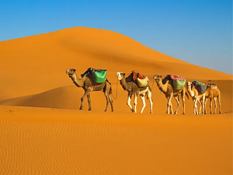desertul-sahara