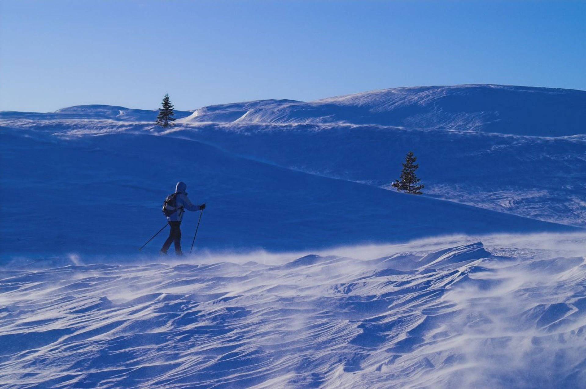 blefjell