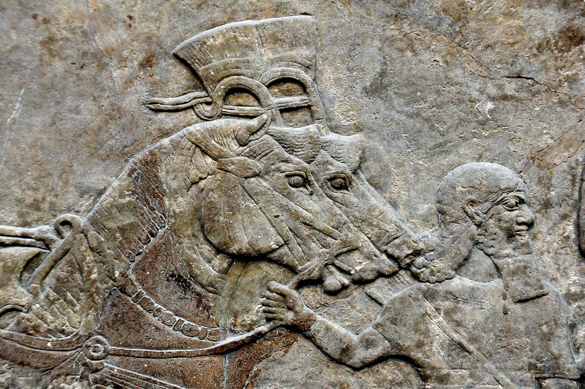 nimrud