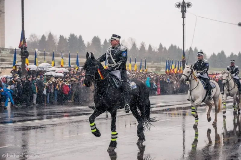 ziua-nationala-romania-omofon20