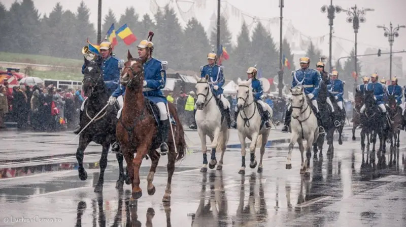 ziua-nationala-romania-omofon21