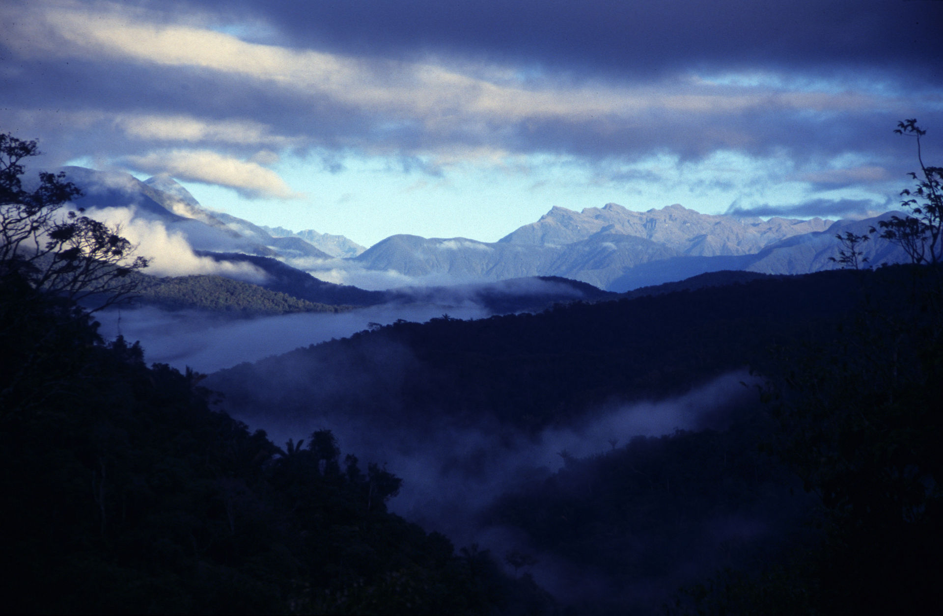 madidi bolivia