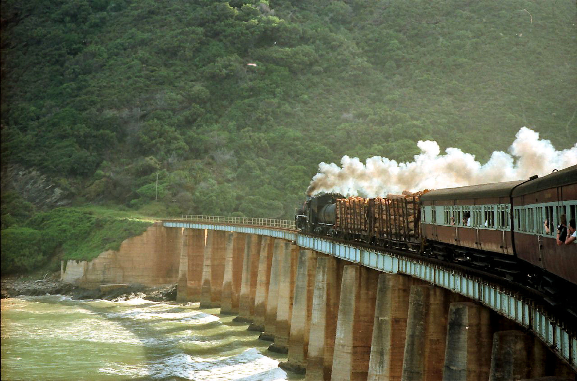 Outeniqua Choo-Tjoe