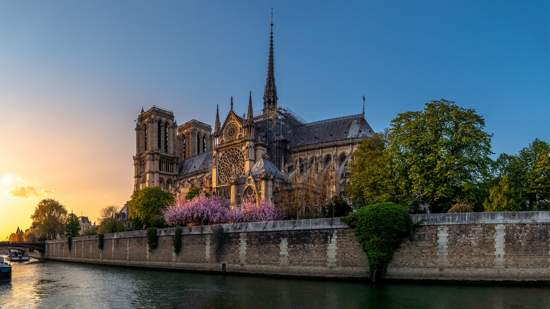 notre dame