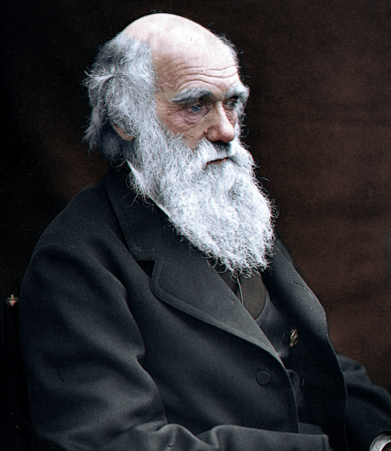 darwin