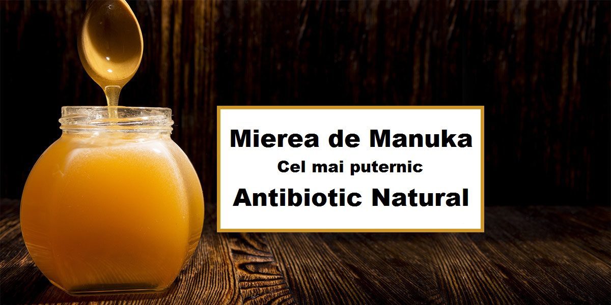 miere manuka pentru copii antibiotic natural